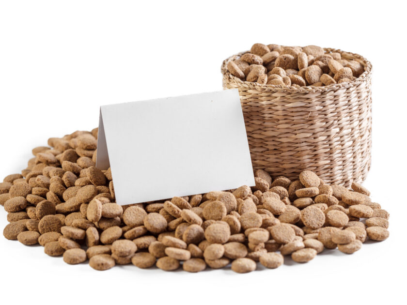 dry dog food isolated on white background